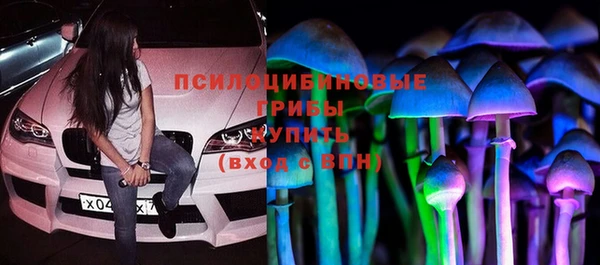 метадон Касимов